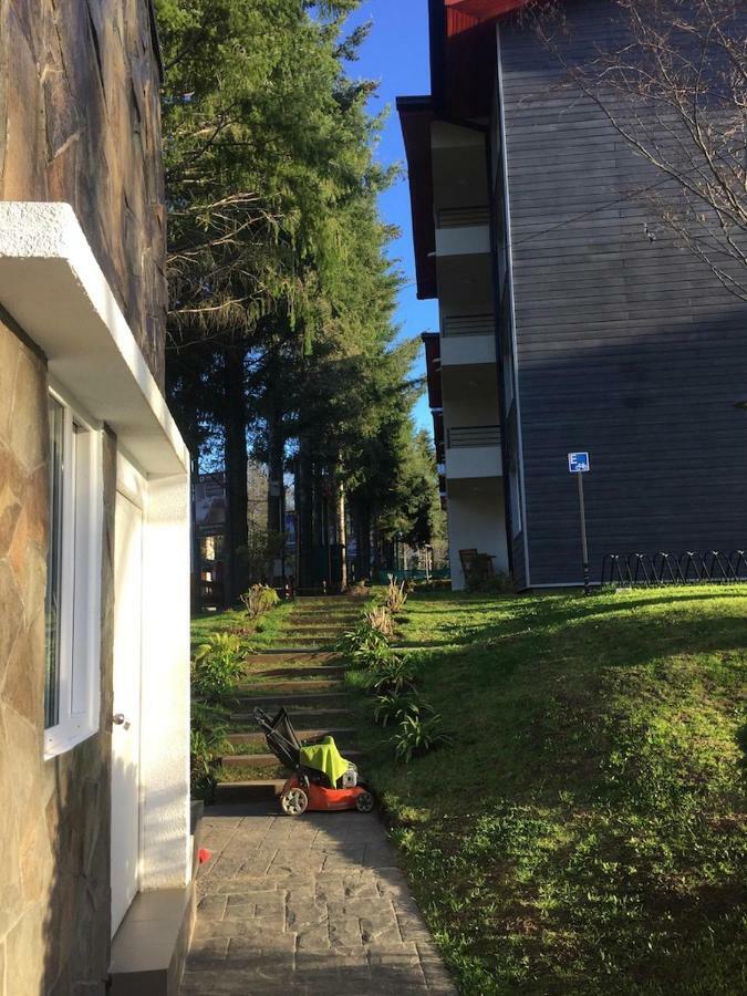 Condominio Robles Camino Al Volcan Pucón Eksteriør bilde