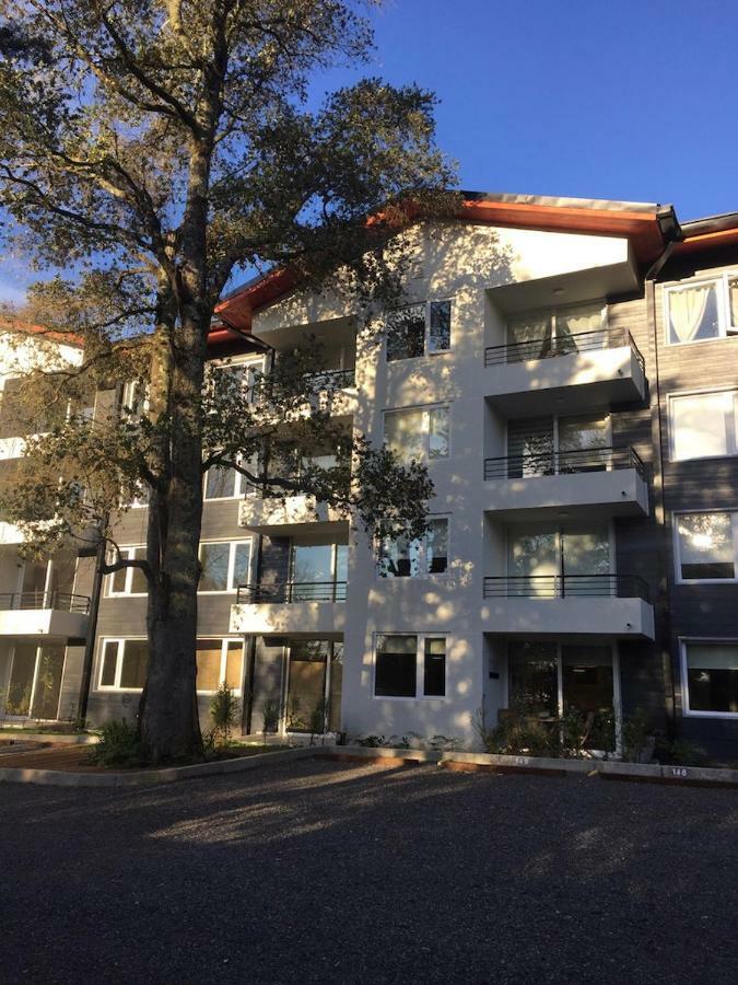 Condominio Robles Camino Al Volcan Pucón Eksteriør bilde